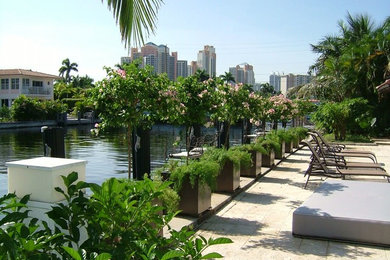 Mittelgroßer Klassischer Garten im Sommer, hinter dem Haus mit direkter Sonneneinstrahlung und Natursteinplatten in Miami