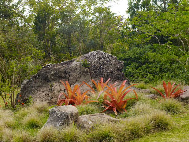 Tropical Landscape by Raymond Jungles, Inc.
