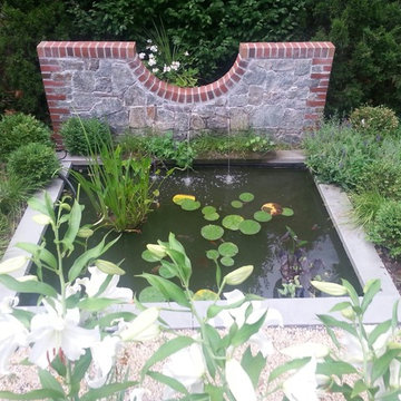 Goldfish Pond Garden