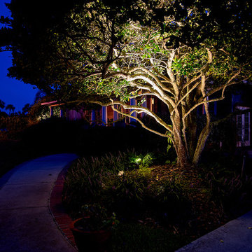 Golf Course Backyard Beauty - Landscape Lighting Installation