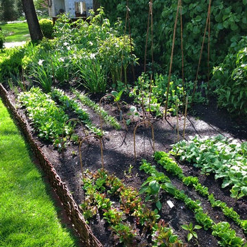 Good Garden's Own Backyard