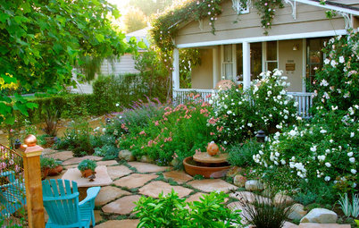 Southern California Gardener's October Checklist
