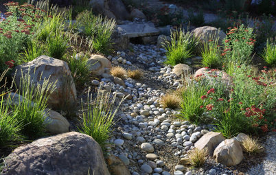 How to Design Your Landscape to Slow Down Water