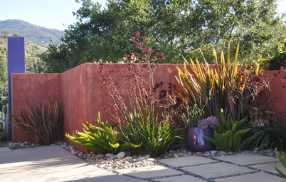 Bold Backdrops for Colorful Gardens