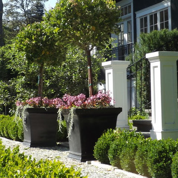 Graceful planters make a statement