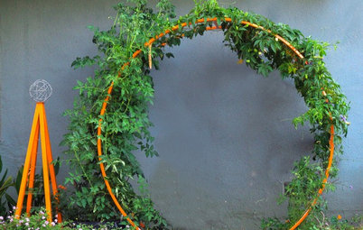 Cherry Tomato Plant Does Double Duty as a Design Element