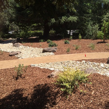 Granite Bay Front Lawn Replacement