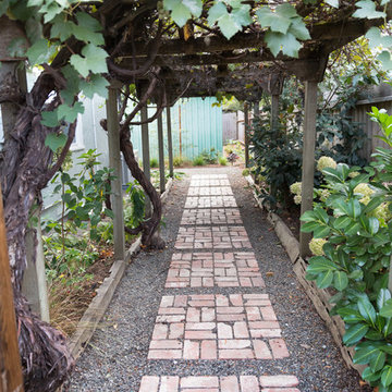 Grape Arbor + Brick Path
