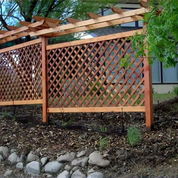 Grape Trellis in Low Water Edible Lanscape