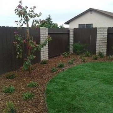 Grass, drought tolerant plants, irrigation system, and mulch.