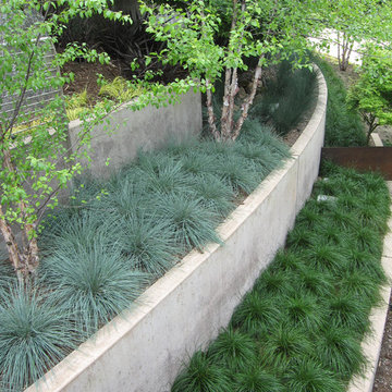Grass Terraces