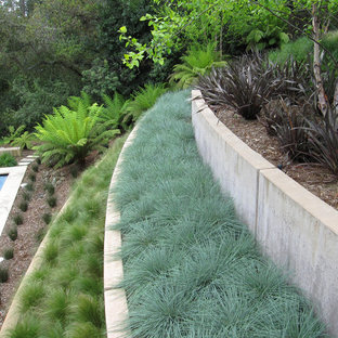 Ispirazione per un giardino contemporaneo con un muro di contenimento
