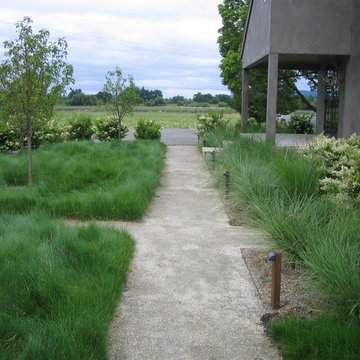 Grasses and Bocce Court