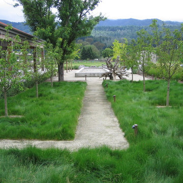 Grasses and Bocce Court