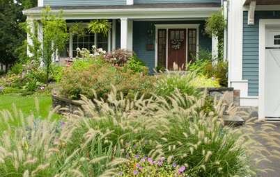 Great Design Plant: Lively Fountain Grass Thrives Just About Anywhere