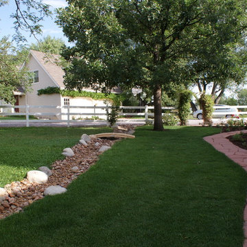 Grassy Pathway with a Dry Creek