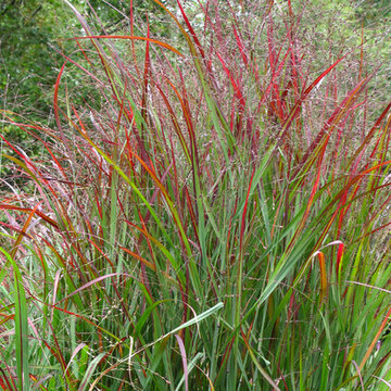 Great Design plant - September 2012