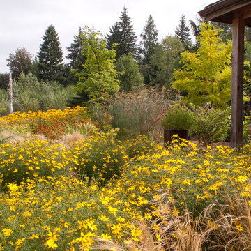 Great Design Plants