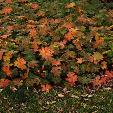 Great Lakes November
