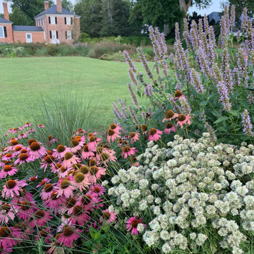 Great Lawn Border - detail