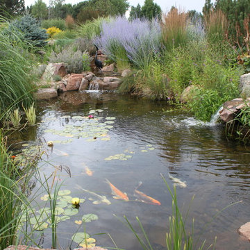Great Niwot Home Gardens and Pond