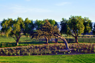 サンタバーバラにあるカントリー風のおしゃれな庭の写真
