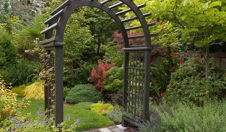 Great Garden Combo: 9 Plants for an Intriguing Entrance