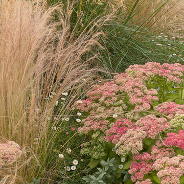 Great Plant Combinations
