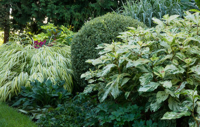Great Garden Combo: Play With Foliage Patterns in a Border