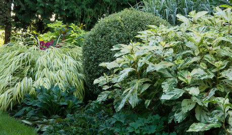 Great Garden Combo: Play With Foliage Patterns in a Border