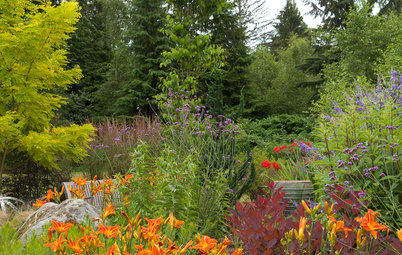 Great Garden Combo: Planting for Fiery Color and Beautiful Wildlife
