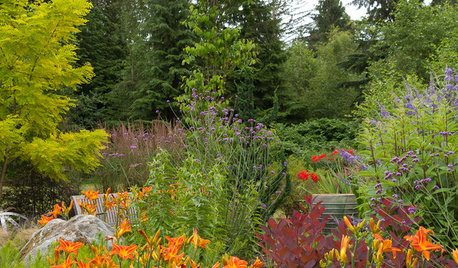 Great Garden Combo: Planting for Fiery Color and Beautiful Wildlife