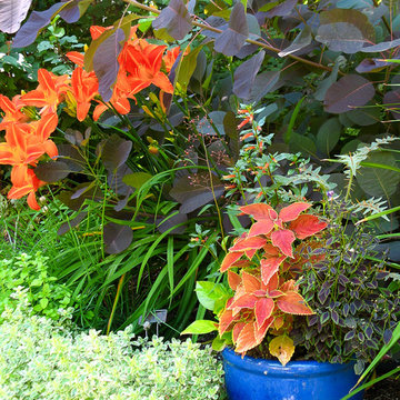 Great Plant Combinations