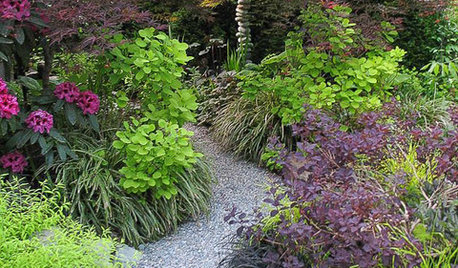 5 Garden Path Looks for an Enchanting Journey
