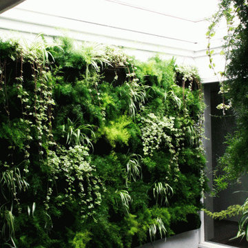Green Atrium