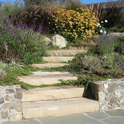 Design ideas for a traditional hillside stone landscaping in San Francisco.