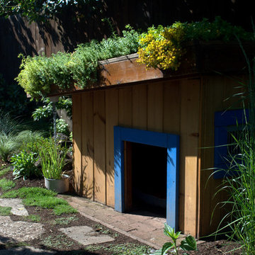 Green Roof Doghouse