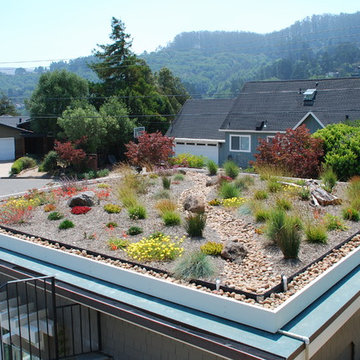Green Roof Garage for Growing Family