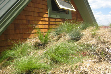 Photo of a rooftop landscaping in Boston.