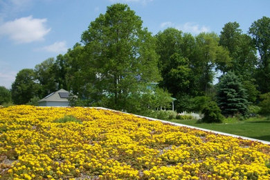 Imagen de jardín de secano contemporáneo grande en invierno en ladera con exposición total al sol y gravilla