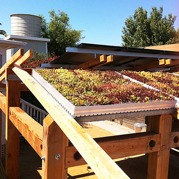 green roof modular system