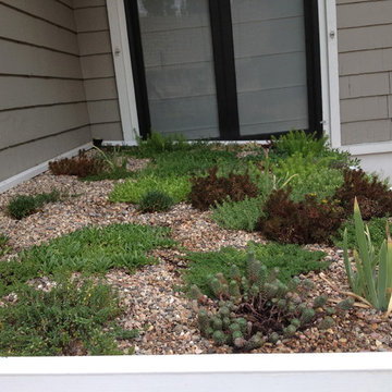 Green Roof Project