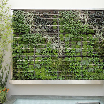 Green Walls