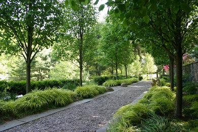 Imagen de camino de jardín contemporáneo de tamaño medio en patio trasero con gravilla, jardín francés y exposición reducida al sol