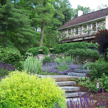 Guest House Cottage Garden