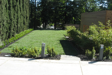 Photo of a landscaping in San Francisco.