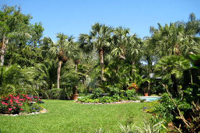Diseño de jardín exótico de tamaño medio en patio trasero con exposición total al sol
