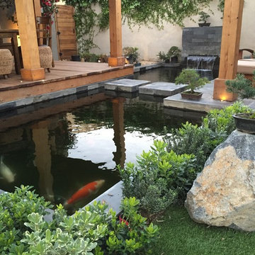 Halsted House Backyard Koi Pond