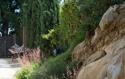 A Challenging Rocky Slope Becomes a Standout Backyard Feature