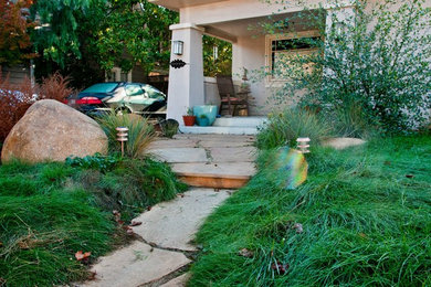 Inspiration for a traditional front yard landscaping in San Francisco.
